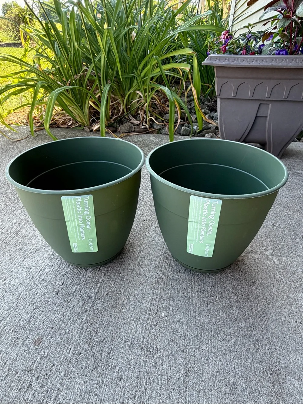 bloem pair plastic